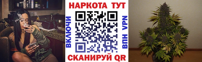 Купить Новая Ладога Cocaine  ГАШИШ  СОЛЬ  Канабис 