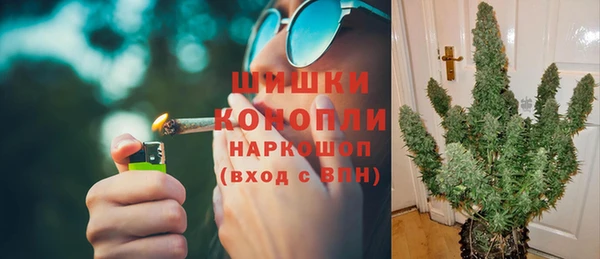 ГАЛЛЮЦИНОГЕННЫЕ ГРИБЫ Алзамай