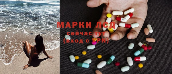 ГАЛЛЮЦИНОГЕННЫЕ ГРИБЫ Алзамай