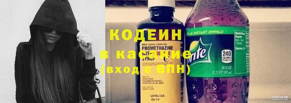 ГАЛЛЮЦИНОГЕННЫЕ ГРИБЫ Алзамай