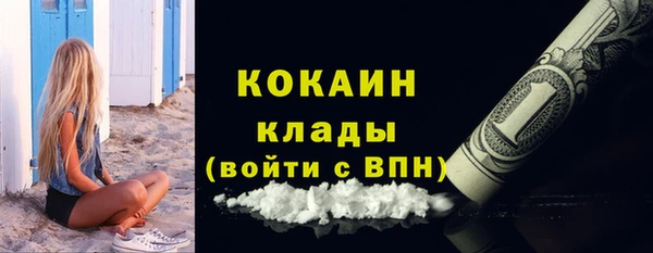 соль ск Алексин