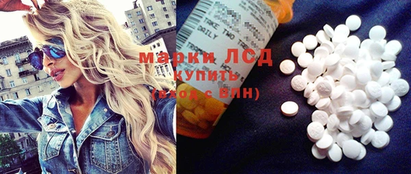 ГАЛЛЮЦИНОГЕННЫЕ ГРИБЫ Алзамай
